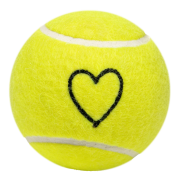 TC FFB Tennisloveball
